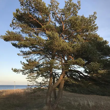 Апартаменты Zum Nordstrand Преров