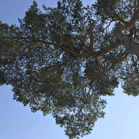 Zum Nordstrand Апартаменты Преров